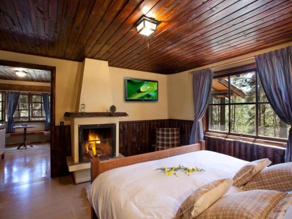 Luxury Family Chalet